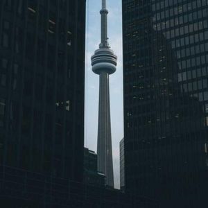 Meet your Posher, Benjamin